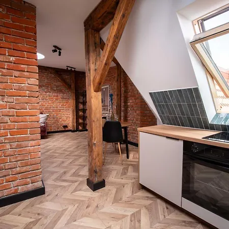 Saint Catherine Apartment Gliwice