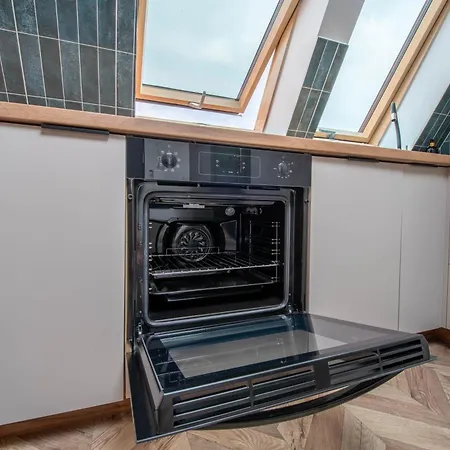 Apartment Saint Catherine Gliwice