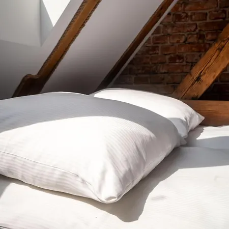 Saint Catherine Apartment Gliwice