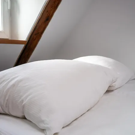 Saint Catherine Apartment Gliwice