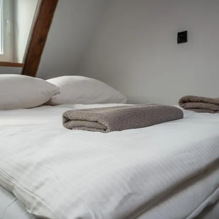 Apartment Saint Catherine Gliwice